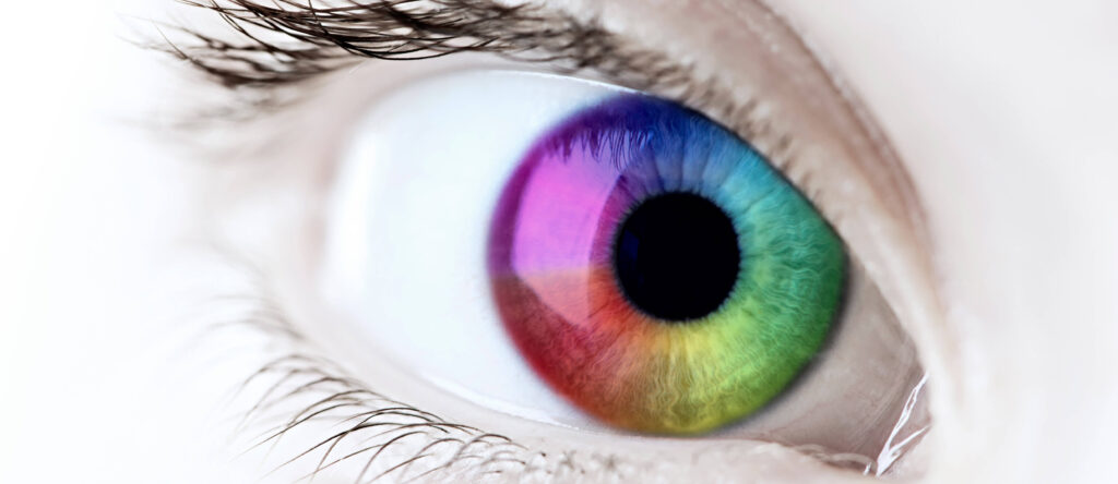 How Do Our Eyes See Colour Glenmore Landing Vision Center 